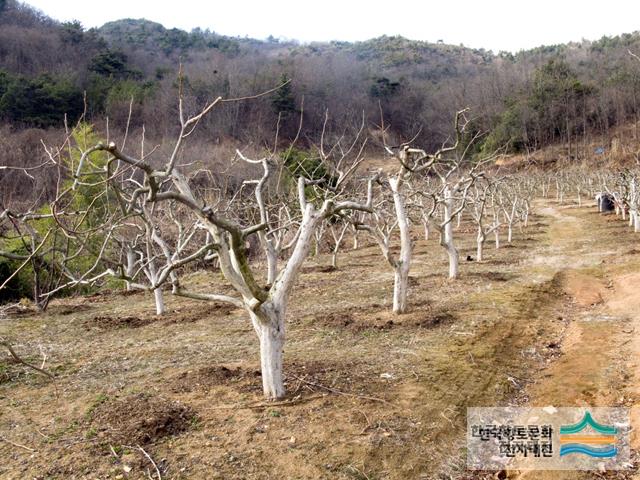 대표시청각 이미지