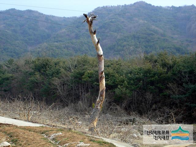 대표시청각 이미지