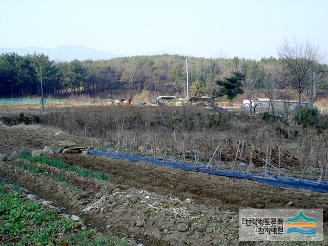 대표시청각 이미지