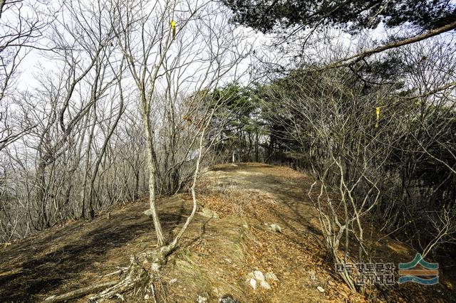 대표시청각 이미지